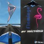 Cerf-volant et logo Flamingo Drole d'oiseau