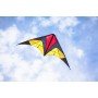Quick Step / cerf-volant d'initiation / Ready to fly