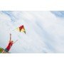 Quick Step / cerf-volant d'initiation / Ready to fly