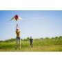 Quick Step / cerf-volant d'initiation / Ready to fly