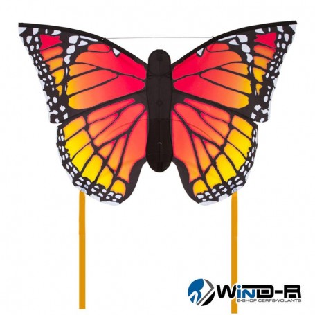 Papillon Monarch L