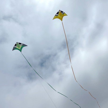 Queue 14 mètres pour cerf-volant