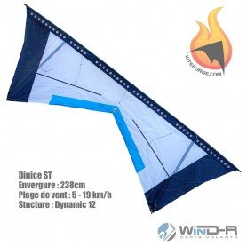Cerf-volant 4 lignes, Djuice, Kiteforge,