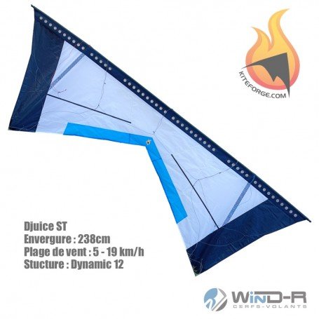 Cerf-volant 4 lignes, Djuice, Kiteforge,