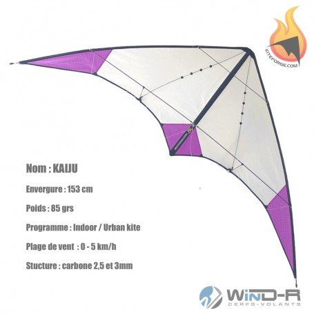 Cerf-volant Indoor Kaiju, Kiteforge, John Barresi, wind-r