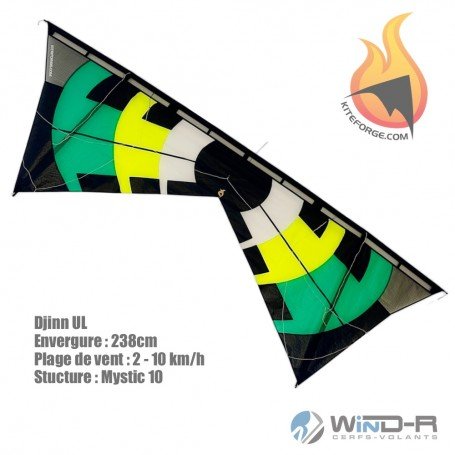Cerf-volant 4 lignes Djinn - KiteForge
