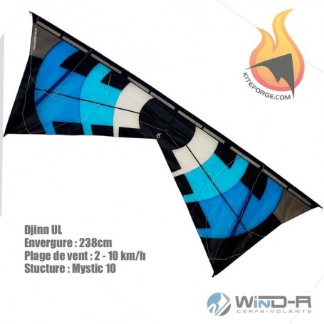Cerf-volant 4 lignes Djinn - KiteForge