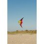 Limbo / cerf-volant d'initiation / Ready to fly