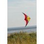 Limbo / cerf-volant d'initiation / Ready to fly