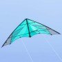 Cruiser / cerf-volant de vitesse / Ready to fly