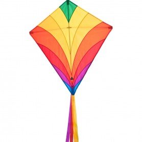 Cerf-volant monofil "Eddy rainbow"