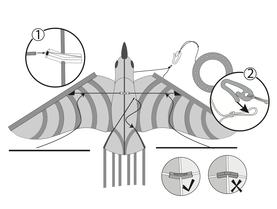 Montage Tropical Bird